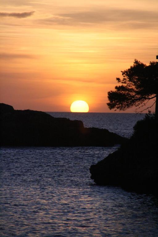 Apartamento Vistalmar Mallorca